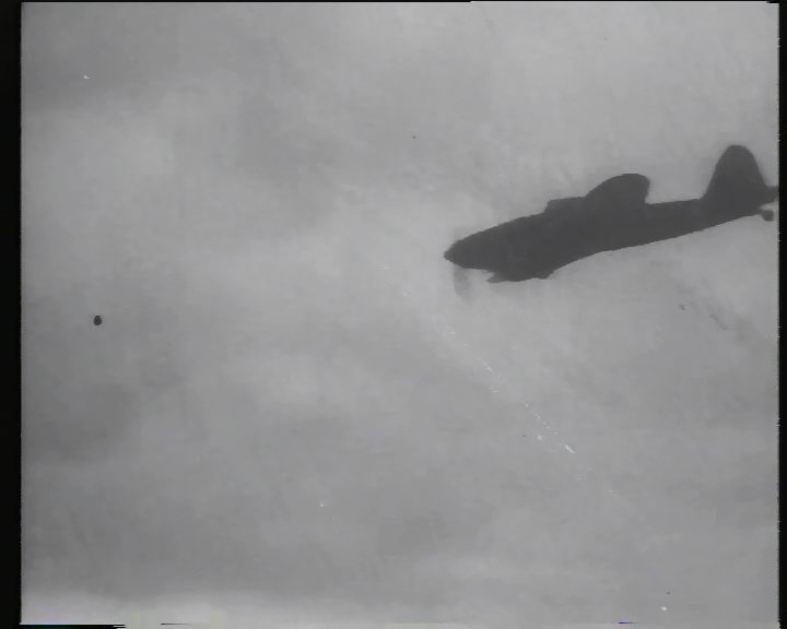 Frame 22 (Хлебников Константин Геннадьевич)